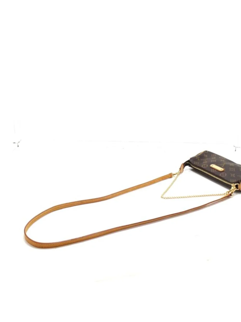 Louis Vuitton brand louis